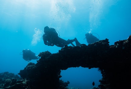 Fantasy Reef diving