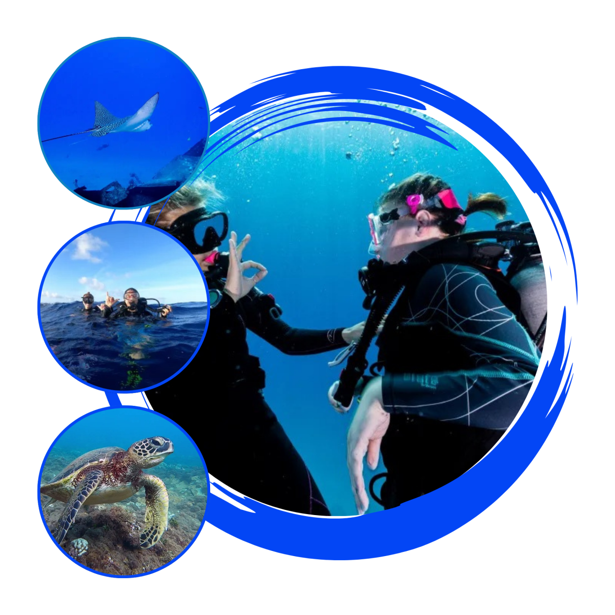 Collage of two scuba divers, a sea turtle, a ray, and two more divers at the ocean surface.