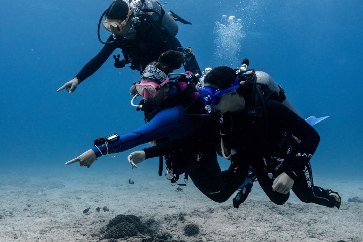 Two scuba divers pointing underwater over coral.