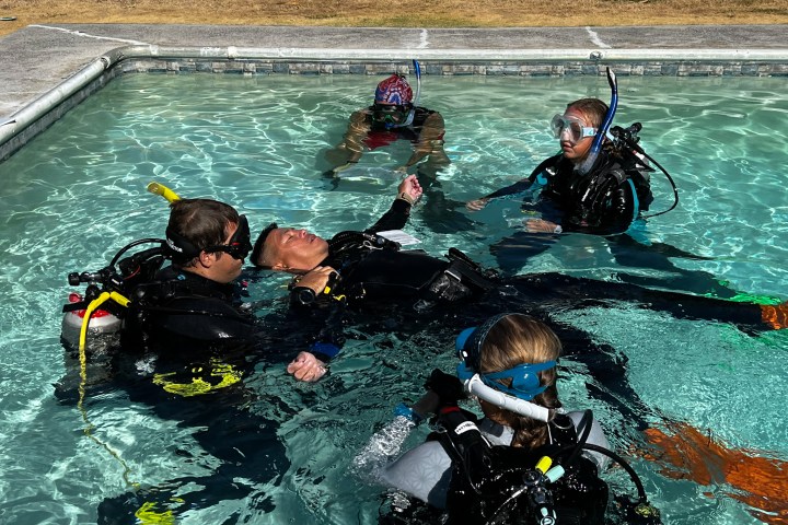 Divers practicing rescue techniques in a swimming pool.