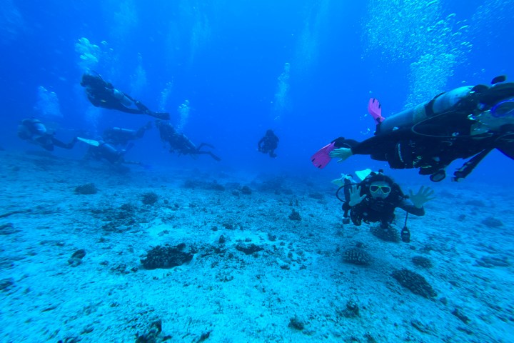 Group of scuba divers swimming underwater over sandy ocean floor.