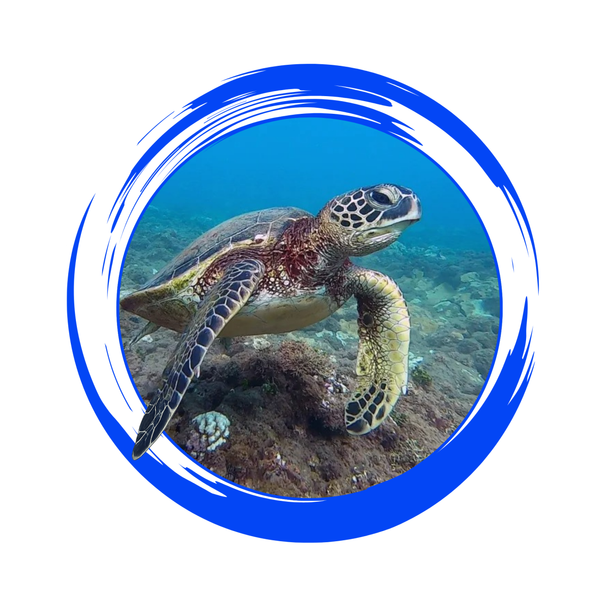 Untitled (1920 x 1080 px) (1920 x 1920 px)