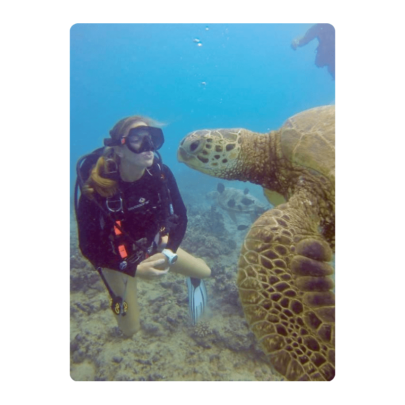 Scuba diver underwater facing sea turtle on a coral reef.