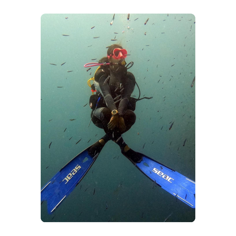 Diver wearing pink goggles and fins, floating underwater surrounded by small fish.