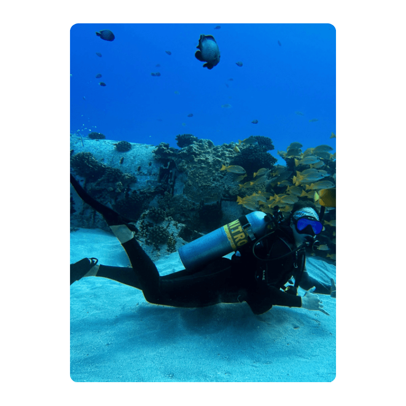 Scuba diver underwater with fish and coral reef in background.