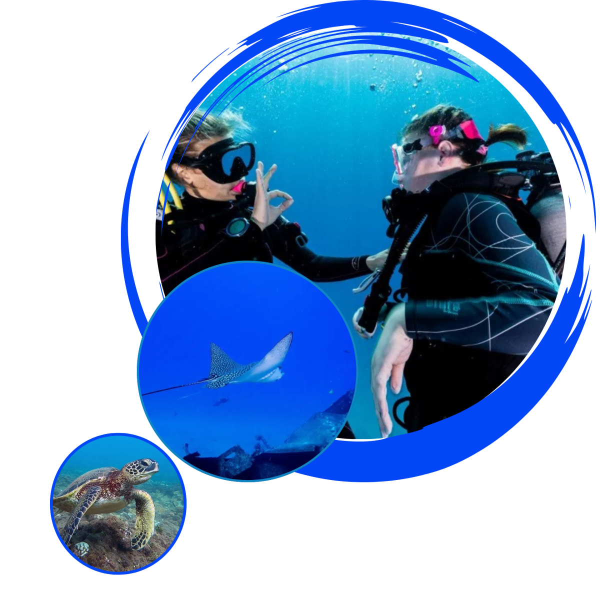 dive-club_images (1)