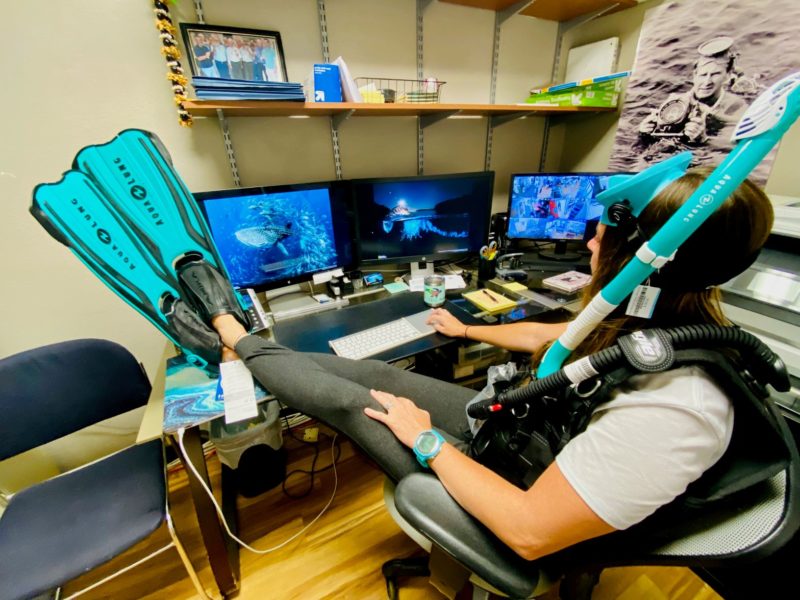 Person in scuba gear and fins at a desk with multiple monitors displaying ocean scenes.