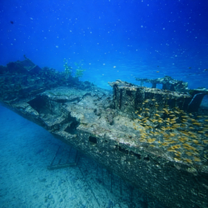 Underwater view of a sunken shipwreck with coral and fish swimming around.