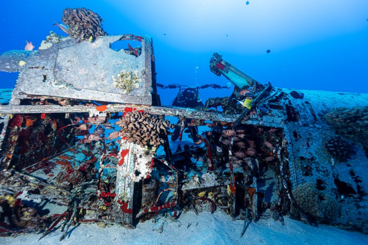 Diver explores a coral-encrusted underwater plane wreck.