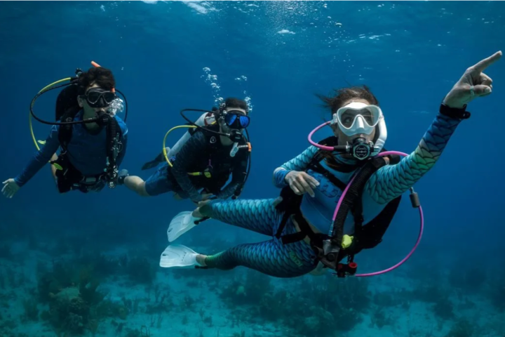 Three divers in wetsuits and masks underwater, one pointing forward, with coral visible in the background.